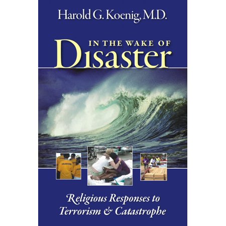 Cover of In the Wake of Disaster: Religious responses to Terrorism & Catastrophe
